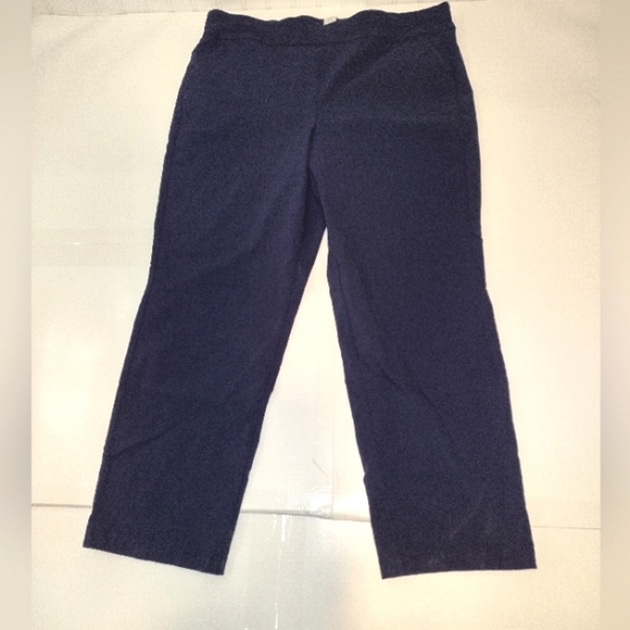 Allison Daley Women's Plus Navy Blue Pull On Pants Size (20 W S) - Picture 5 of 13